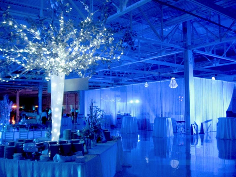 Blue Lighting at Winter Wonderland Event  Rick Herns 